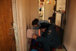 В Хабаровском крае проводятся противопожарные рейды по домам с печным отоплением В Хабаровском крае проводятся противопожарные рейды по домам с печным отоплением