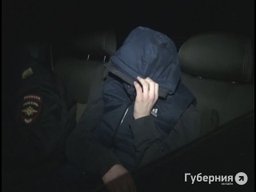 Хабаровская семья задержала вора, устроив засаду Хабаровская семья задержала вора, устроив засаду