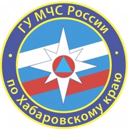 На контроль ГУ МЧС России по Хабаровскому краю На контроль ГУ МЧС России по Хабаровскому краю
