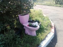 Необычная клумба появилась в Хабаровске Необычная клумба появилась в Хабаровске