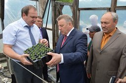 Вячеслав Шпорт посетил Хабаровское специализированное лесное хозяйство