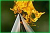 Оргкомитет «Сочи 2014» утвердил первых факелоносцев Эстафеты Олимпийского огня от Хабаровского края