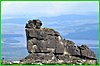 До окончания голосования за «Амурские столбы» осталось несколько часов