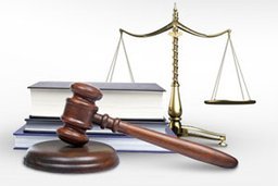 Разобраться в тонкостях законах помогут в мэрии