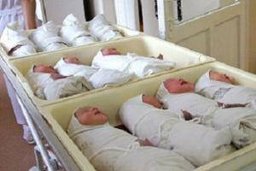 В 2013 году в Хабаровске выросла рождаемость и снизилась смертность