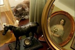 В Хабаровске стартовал конкурс «Лучший хранитель истории»