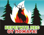 Введен особый противопожарный режим