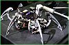 В городе Юности пройдет краевой фестиваль робототехники «Технофест-2014»