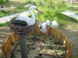 В Хабаровске завершился ежегодный конкурс «Лучший двор, лучший подъезд»