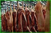 Хабаровский край планирует наладить поставки свинины из КНР