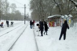 В Хабаровске в городском субботнике 6 декабря приняло участие более 9800 человек