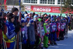 Госавтоинспекция Хабаровского края провела лыжные гонки "Спорт - за безопасное движение на дорогах"
