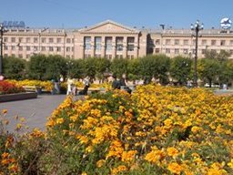 Более 500 тысяч цветов будет высажено в Хабаровске в этом году