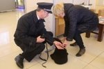14.04.15 Полет медвежонка Маши из Хабаровска в Москву