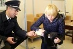 14.04.15 Полет медвежонка Маши из Хабаровска в Москву