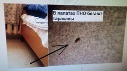 Хабаровчанки подали петицию против жестокого обращения с детьми Хабаровчанки подали петицию против жестокого обращения с детьми