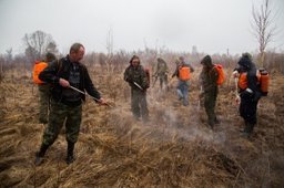 Спасатели Хабаровского края провели тренировку по тушению лесных пожаров