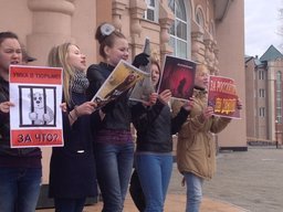 Хабаровские защитники прав животных провели акцию перед цирком