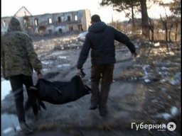 Подростки зверски замучили собаку на окраине Хабаровска