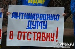 Перед Законодательной думой прошел пикет против отмены муниципальных выборов в Хабаровском крае
