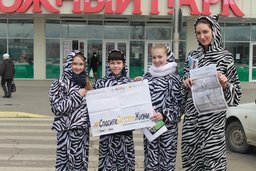 Жители Хабаровска присоединились к кампании #СпаситеДетскиеЖизни
