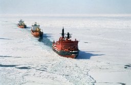 Северный морской путь позволит снизить на 30 процентов расходы по доставке рыбы в Центральную Россию