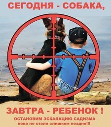 4 мая зоозащитники Хабаровска проведут пикет перед зданием УМВД России по...