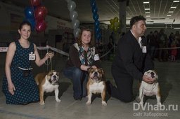 Более 50 собак различных пород приняли участие в выставке «Регион ДВ-2015»,...