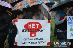 Зоозащитники Хабаровска провели пикет перед зданием краевого управления...