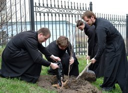 Выпускники Хабаровской духовной семинарии посадили фруктовый сад