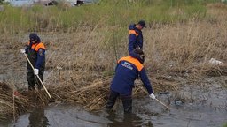 В преддверии общегородского субботника, который пройдет 23 мая в Хабаровске В преддверии общегородского субботника, который пройдет 23 мая в Хабаровске
