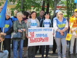 Митинг в Вяземском районе против отмены выборов