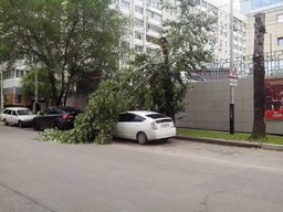 Большая ветка дерева упала на автомобиль рядом с Домом Быта