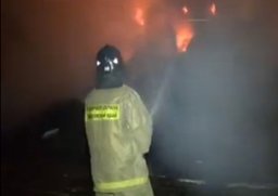 Хабаровские огнеборцы ликвидировали пожар в садовом обществе «Арсеналец»