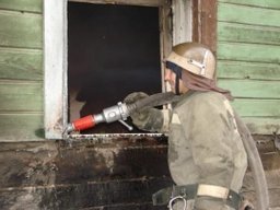 Хабаровские огнеборцы ликвидировали пожар в садовом обществе «Вагонник»