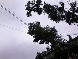 В Хабаровске без энергоснабжения остаются 12000 жилых домов