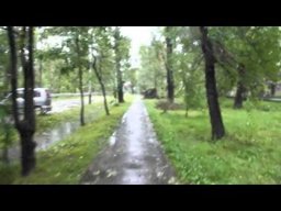 По информации администрации, во дворах и на улицах Хабаровска обрушилось более 500 деревье