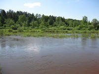Предупреждение об изменение уровня воды в районе имени Лазо Хабаровского края
