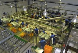 Новый рыбоперерабатывающий комбинат открылся в Хабаровском крае Новый рыбоперерабатывающий комбинат открылся в Хабаровском крае