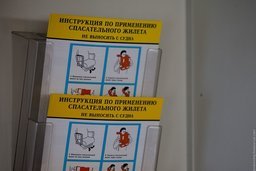 Судимость за украденные жилеты в Хабаровском аэропорту