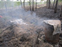 Госпожнадзор: установлены 13 граждан, причастных к возникновению лесных пожаров в Якутии