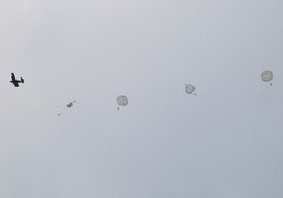 Выступление парашютистов ДОСААФ в честь Дня ВМФ