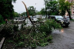Мэр Хабаровска Александр Соколов поручил подготовиться к грядущему циклону, который может задеть дальневосточную столицу