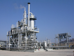 В Амурской области обсудили формирование ТОР для строительства крупнейшего в России газоперерабатывающего завода