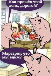 Россельхознадзор намерен кормить санкционными продуктами скот