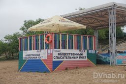 Администрация Хабаровска решила организовать на "Дельфине" спасательный пост