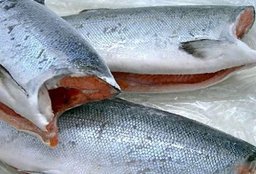 Рыбная продукция по ценам от производителей пользуется высоким спросом у жителей края