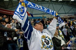 Хабаровский «Амур» стал чемпионом межсезонья-2015