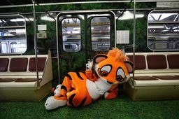 Московский метрополитен запустил именной поезд, посвященный амурскому тигру, дальневосточному леопарду и проблемам защиты окружающей среды