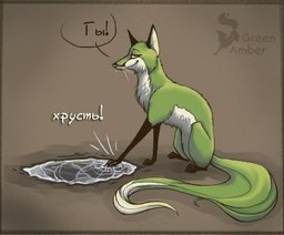 Дальневосточный центр гидрометеорологии предупредил о приходе заморозков на юг Хабаровского края